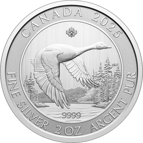 2 oz. Žąsis sidabrinė moneta 2025