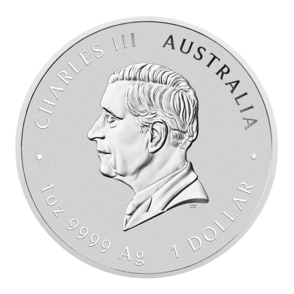 1 oz. Gyvatė sidabrinė moneta 2025