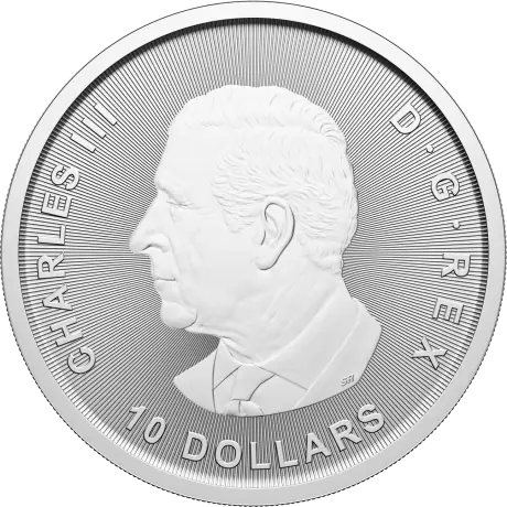 2 oz. Žąsis sidabrinė moneta 2025